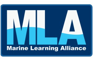 MLA lOGO Degree & Masters Bursaries with MLA for ABMA Learners