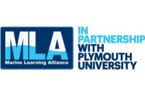 MLA Logo 300 200 New Degree and Masters Pathways with MLA