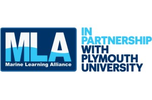 MLA Logo 300 200 New Degree and Masters Pathways with MLA